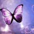 Profile picture for user AuRoReL8395