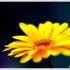 Profile picture for user fabiennej2004