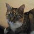 Profile picture for user Christine A