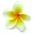 Profile picture for user choupie38