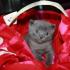 Profile picture for user fleur de sel 44
