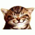 Profile picture for user nathalie01