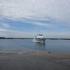 Profile picture for user finistere