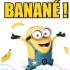 Profile picture for user celine45800