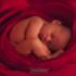 Profile picture for user quenotte04