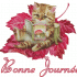 Profile picture for user mimicool
