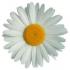 Profile picture for user AurelieMisty