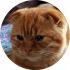 Profile picture for user Bégé57