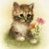 Profile picture for user Scalnette R.entrO