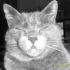 Profile picture for user Delf46