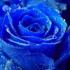 Profile picture for user marie29