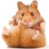 Hamster Jovial avatar