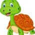 tortue34 avatar