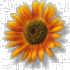 biasotto avatar